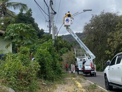 PLN Pulihkan Kelistrikan Pascagempa Flores, 429 Gardu Sudah Kembali Nyala
