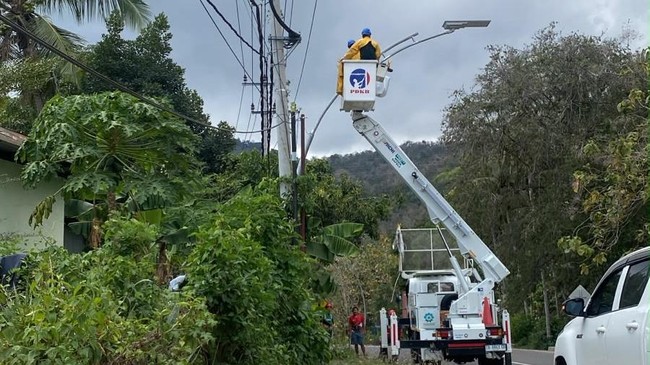 PLN