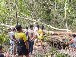 Warga Temukan Tengkorak-Tulang Diduga Kerangka Manusia di Muba
