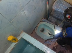 Jerit Anak Ujang Lihat Kepala Sanca Keluar dari Lubang Toilet