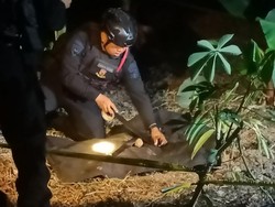 Pensiunan Polisi Temukan Benda Diduga Granat Saat Bersihkan Perkarangan Rumah