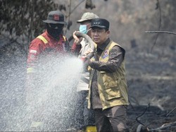 Musim Kemarau Panjang, Pemkab Muaro Jambi Optimal Tangani Karhutla