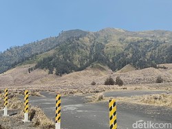 1.120 Hektare Lahan di Bromo Hangus Terbakar, Api Kini Terkendali