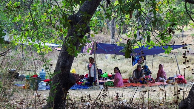 Desa Lidi di Pulau Palu'e terisolir setelah gempa 7,7 magnitudo. Warga kekurangan air bersih dan makanan, sementara tim penyelamat terhambat akses.