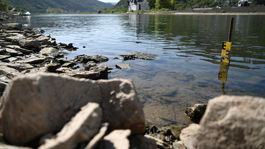 Permukaan air Sungai Rhine di Jerman terus menyusut hingga mencetak rekor terendah seiring terjadinya gelombang panas nan melanda Eropa. (REUTERS/Stephane Nitschke)