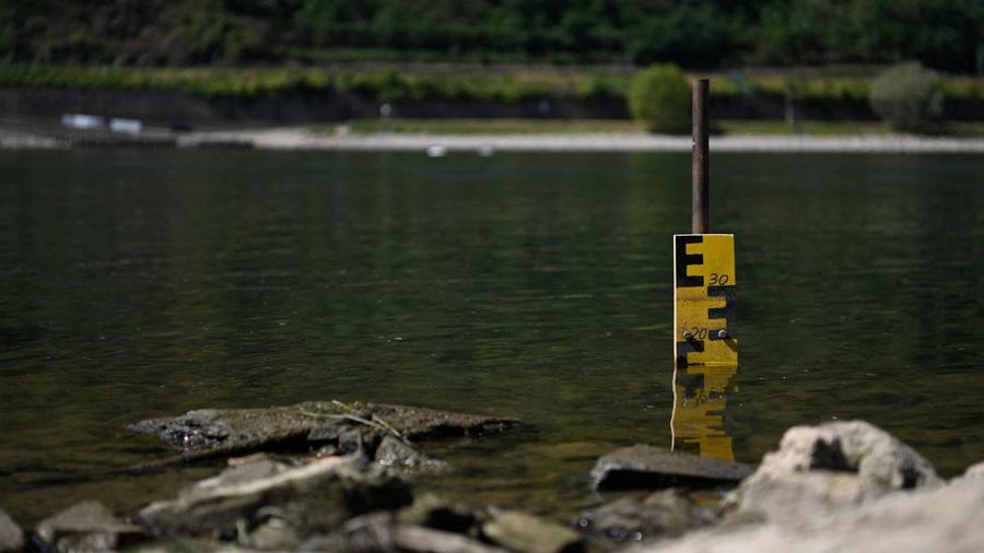 Permukaan air Sungai Rhine di Jerman terus menyusut hingga mencetak rekor terendah seiring terjadinya gelombang panas nan melanda Eropa. (REUTERS/Stephane Nitschke)
