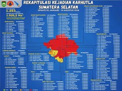 12 Daerah Sumsel Berstatus Zona Merah Karhutla, Kasus Tembus 1.253 Kejadian