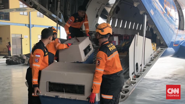 Mabes Polri kerahkan armada udara dan personel SAR untuk penanganan gempa magnitudo 7 di NTT. Korban tewas mencapai 51, dengan bantuan logistik disiapkan.