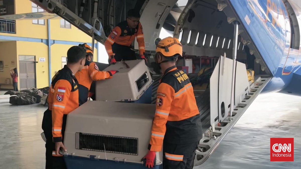 Mabes Polri Kerahkan Pesawat, Helikopter, dan Anjing Pelacak ke NTT
