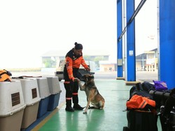Mabes Polri Turunkan K9 dan 2,5 Ton Logistik ke Lokasi Gempa NTT