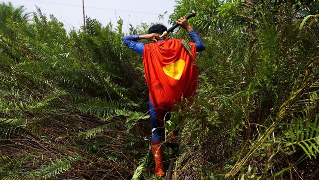 Rudiyansah, 16, while wearing a Superman costume, prepares to extinguish a fire at a wildfire-affected area in Palangka Raya, Central Kalimantan province, Indonesia, August 14, 2026. REUTERS/Ajeng Dinar Ulfiana