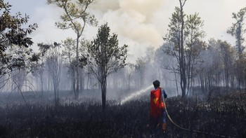 Rudiyansah, 16, wears a Superman costume while extinguishing a fire at a wildfire-affected area in Palangka Raya, Central Kalimantan province, Indonesia, August 14, 2026. REUTERS/Ajeng Dinar Ulfiana