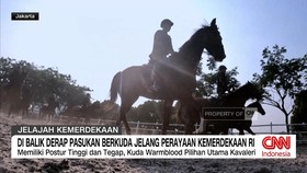 Thu,mbnail video