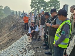 Pakar Thailand Turun ke Way Kambas, Dorong Konservasi Gajah Berkelas Dunia