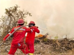Manggala Agni Padamkan Karhutla Hampir 100 Hektare di 4 Wilayah Sumsel