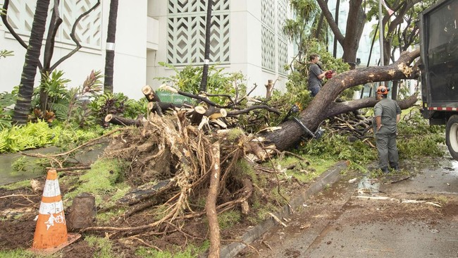 Badai Tropis Lala menerjang negara bagian Hawaii, Amerika Serikat (AS) yang memicu banjir bandang ekstrem.