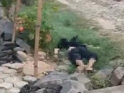 DPO Curanmor Ditemukan Tewas di Halaman Rumah Warga Lampung Timur
