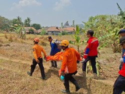 Hilang 42 Hari, Pria di Cilegon Ditemukan Meninggal Dunia di Kebun
