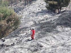 Video: Raja Juli Umumkan Kawasan Bromo akan Dibuka Lagi 20 Agustus 2026