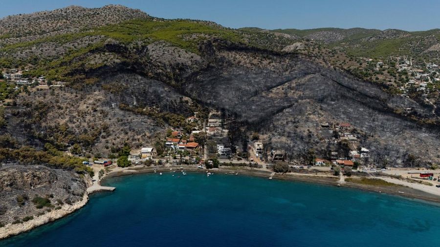 Kondisi area nan gosong terbakar akibat kebakaran rimba di wilayah Peristeria, Pulau Salamina, dekat Athena, Yunani, Senin (17/8/2026). (REUTERS/Stelios Misinas)