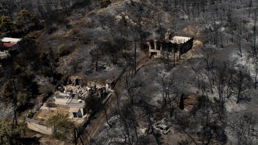Kondisi area nan gosong terbakar akibat kebakaran rimba di wilayah Peristeria, Pulau Salamina, dekat Athena, Yunani, Senin (17/8/2026). (REUTERS/Stelios Misinas)