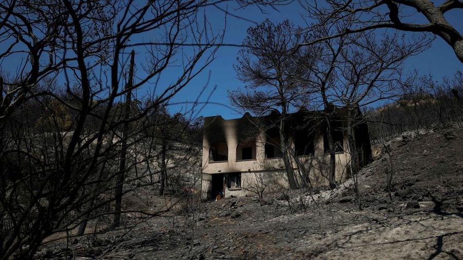 Kondisi area nan gosong terbakar akibat kebakaran rimba di wilayah Peristeria, Pulau Salamina, dekat Athena, Yunani, Senin (17/8/2026). (REUTERS/Stelios Misinas)