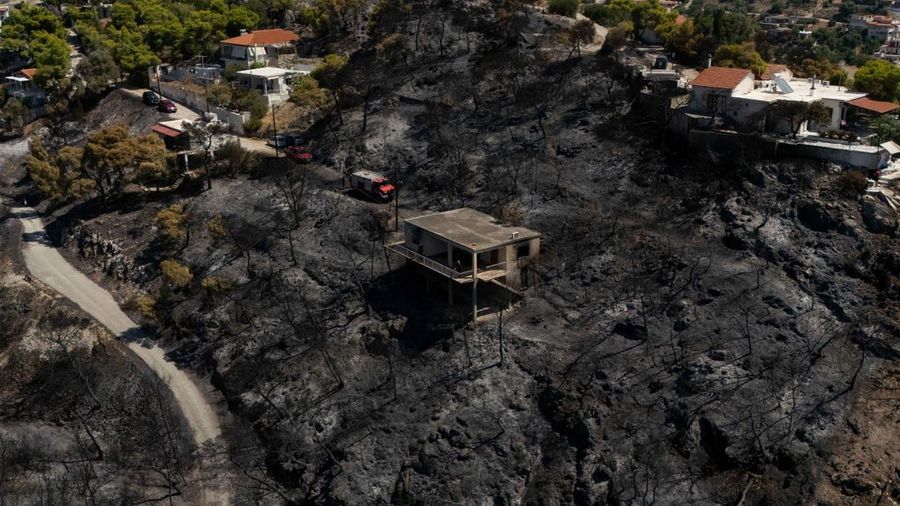 Kondisi area nan gosong terbakar akibat kebakaran rimba di wilayah Peristeria, Pulau Salamina, dekat Athena, Yunani, Senin (17/8/2026). (REUTERS/Stelios Misinas)