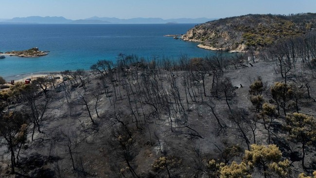 Potret Ngeri Satu Pulau Hangus Terbakar: Warga Tewas-Kehancuran Total