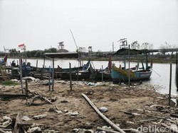 Nelayan Tambakrejo Semarang Sambat Gagal Panen Kerang Hijau