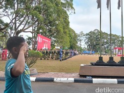 Momen Bocah Lari ke Kantor Bupati Kobar, Beri Hormat Saat Bendera Berkibar