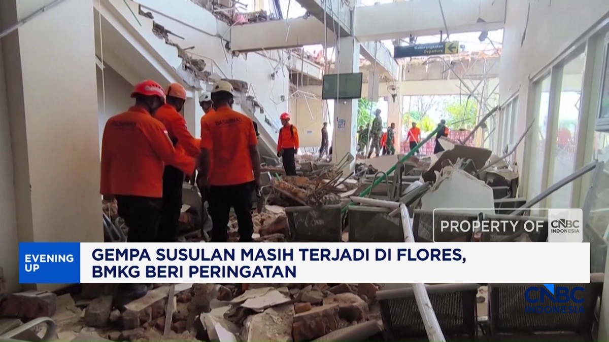 Video: Gempa Susulan Masih Terjadi di Flores, BMKG Beri Peringatan