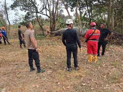 Lahan Kosong di Ngaglik Sleman Terbakar