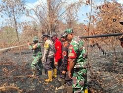 Upaya Padamkan Karhutla di Bengkalis, 3 Titik Prioritas karena Minim Air-Lahan Gambut