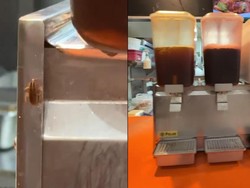Kecoak Merayap di Dispenser Minuman, Netizen Soroti Kebersihan Restoran