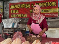 Harga Ayam Potong di Kediri Tembus Rp 42 Ribu per Kilogram
