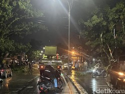 Hujan Deras-Angin Kencang, Sebagian Kota Medan Padam Listrik hingga Pohon Tumbang
