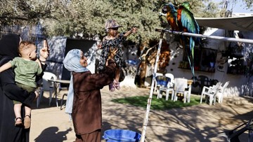 FOTO: Kebun Binatang Nuseirat Gaza Hiburan Baru Anak-anak Palestina