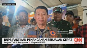 BNPB Pastikan Penanganan Pascagempa NTT Berjalan Cepat