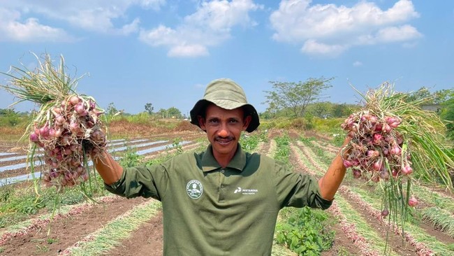 Pertamina Dampingi Petani Boyolali Bangkit di Musim Kemarau