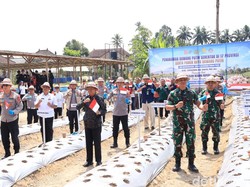 Ditanam Serentak di 17 Provinsi, Gianyar Jadi Pioner Tani Bawang Putih di Bali