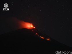 Gunung Ile Lewotolok Erupsi 158 Kali, Lava Mengalir 1,2 Km