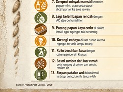 Infografis: Cara Memberantas Kamitetep yang Meresahkan