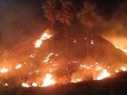 Kawasan Sabana Dekat Hotel Bintang 5 di Labuan Bajo Terbakar