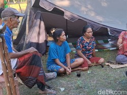 Trauma Warga Ngada Lihat Laut Tiba-tiba Surut Saat Gempa M 7,7