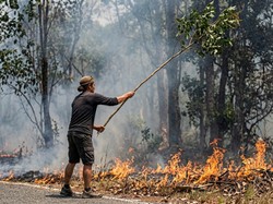 Lahan di Paring Kuning Kobar Terbakar, Api Diduga dari Puntung Rokok