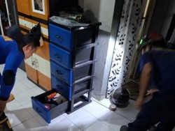 Kobra Sembunyi di Balik Lemari, Damkar Kobar Turun Tangan Evakuasi