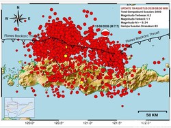 Flores Diguncang 2.850 Gempa Susulan, Warga Waswas