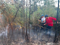Wamenko Pangan Turun Tangan Bantu Pemadaman Karhutla Banjarbaru