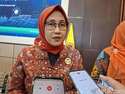 DEN Sentil Pemda soal Capaian EBT di NTB Baru 17 Persen