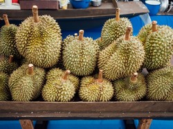 Berburu Kuliner Lokal, Ini 4 Destinasi dengan Jajanan Berbahan Dasar Buah